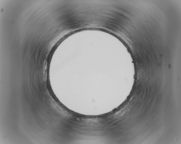 X0000089401126200707061222