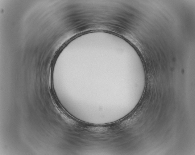 X0000089401127200707061222