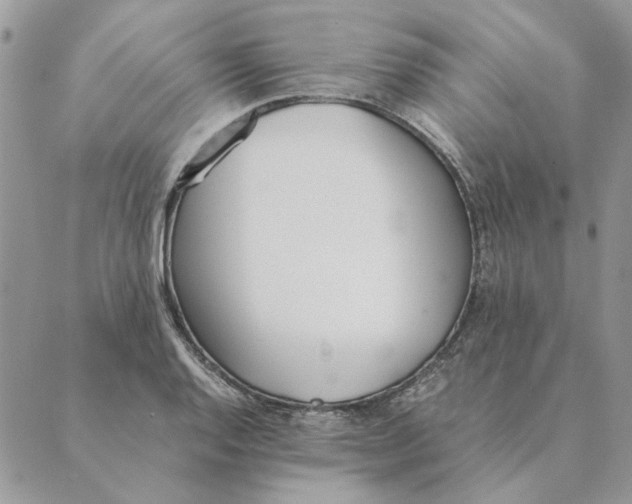 X0000089401128200707061222