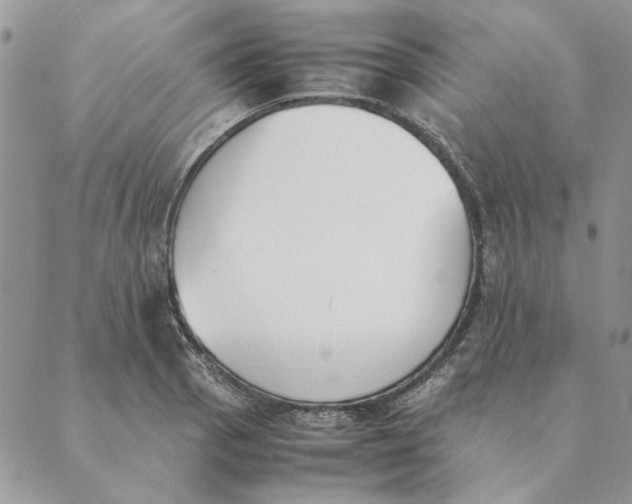 X0000089401129200707061222