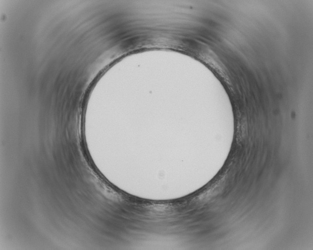 X0000089401130200707061222