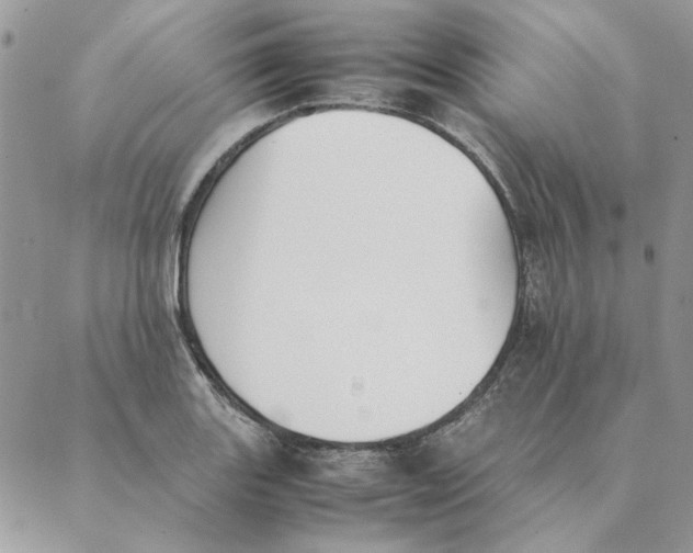 X0000089401131200707061222