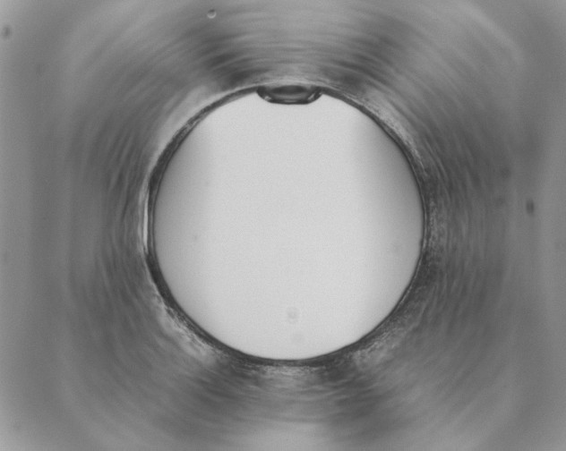 X0000089401132200707061222