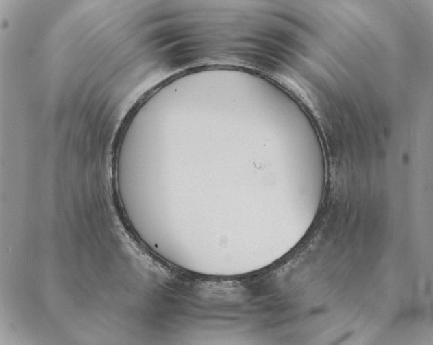 X0000089401133200707061222