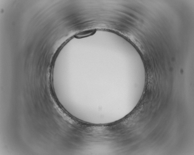 X0000089401134200707061222