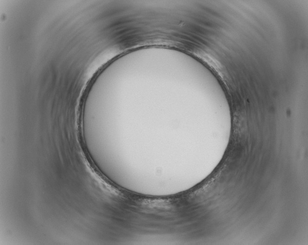 X0000089401135200707061222