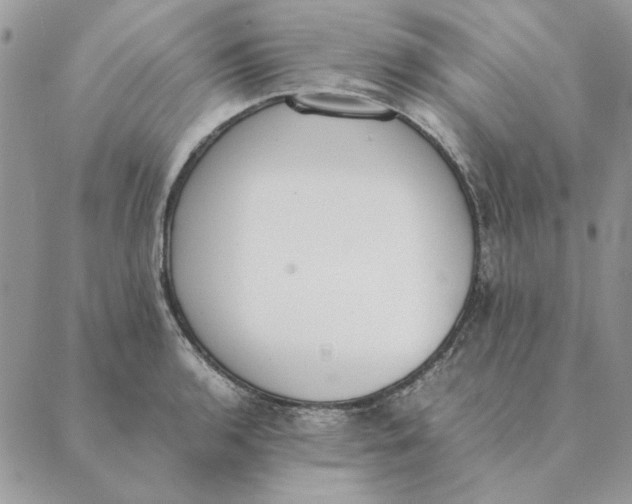 X0000089401136200707061222