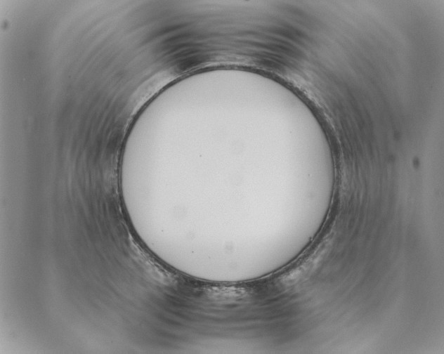 X0000089401137200707061222