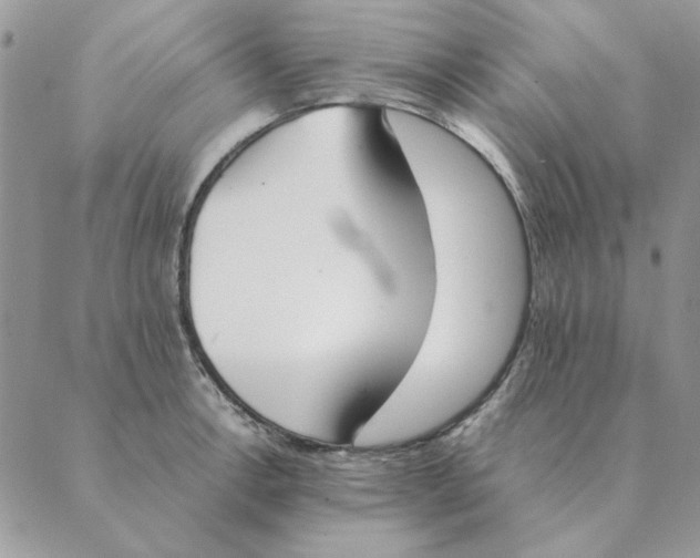 X0000089401138200707061222