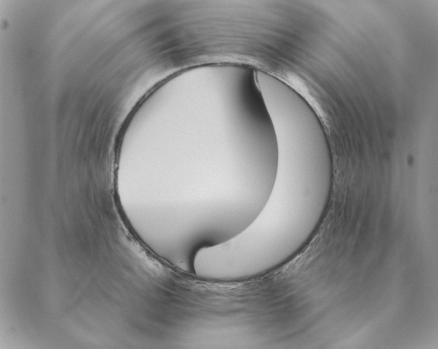 X0000089401140200707061222