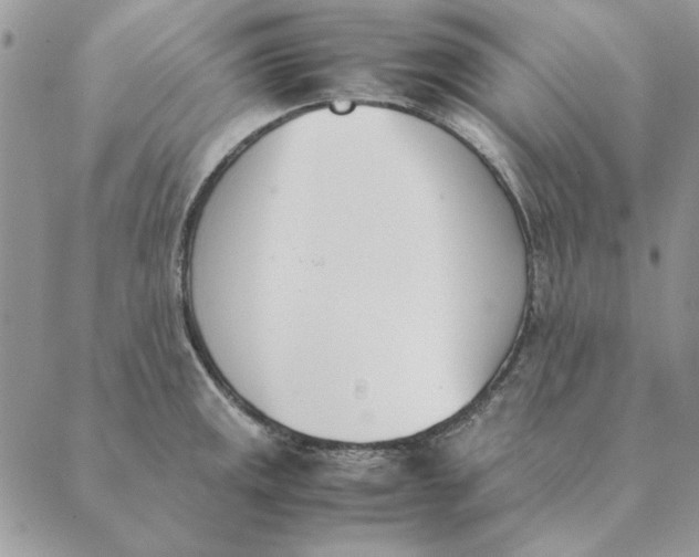 X0000089401141200707061222