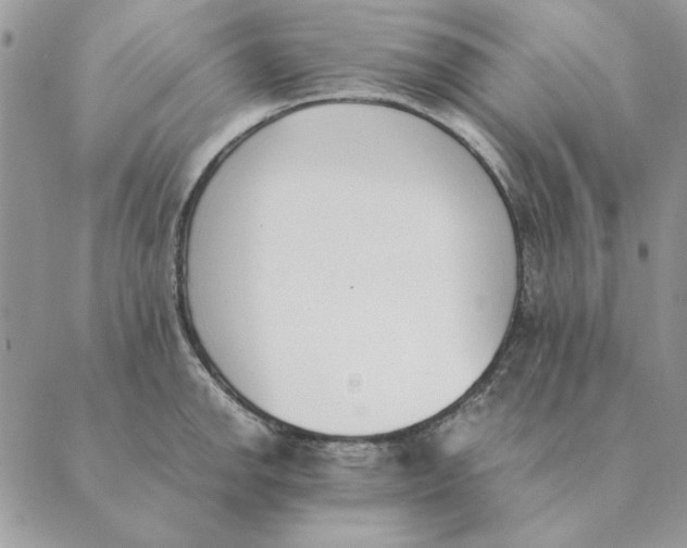 X0000089401142200707061222