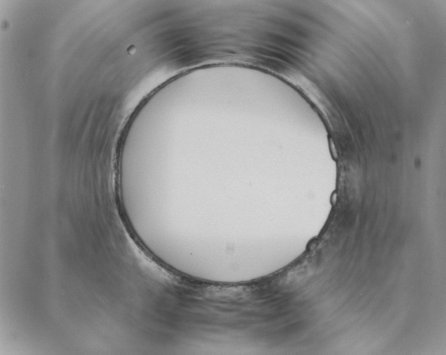 X0000089401143200707061222