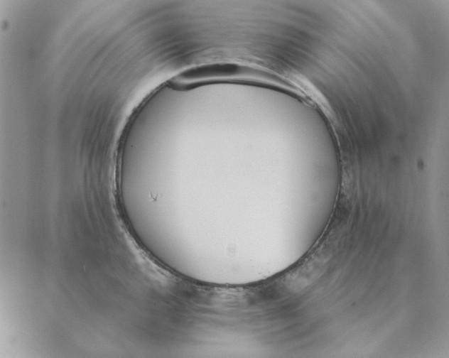 X0000089401144200707061222