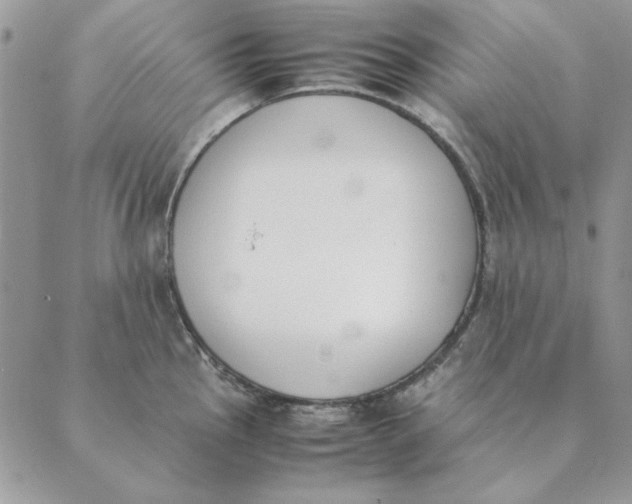 X0000089401145200707061222