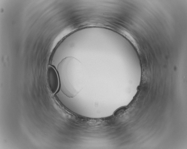 X0000089401146200707061222