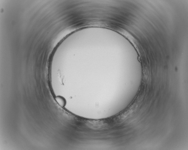 X0000089401147200707061222