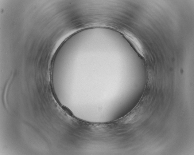 X0000089401148200707061222