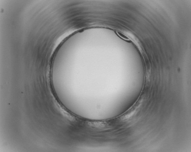 X0000089401149200707061222