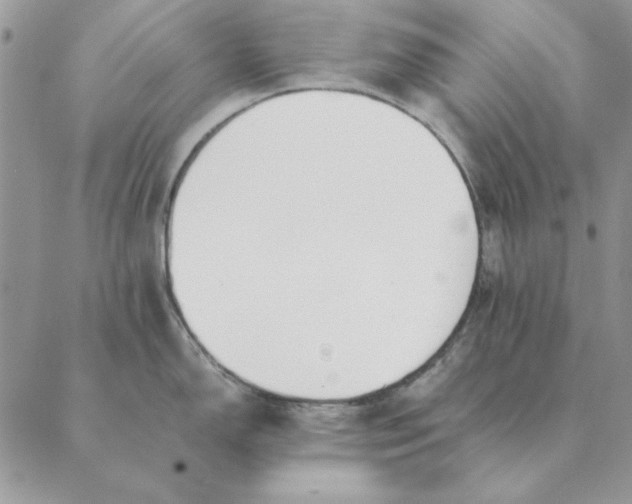 X0000089401150200707061222