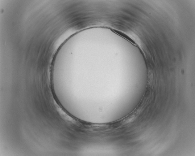 X0000089401151200707061222