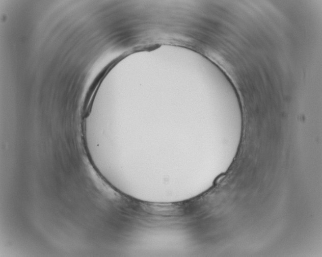 X0000089401152200707061222