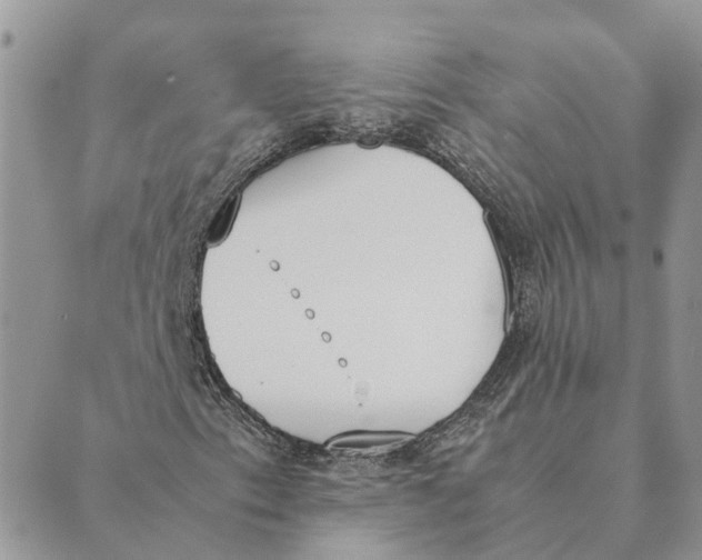 X0000089401153200707061221