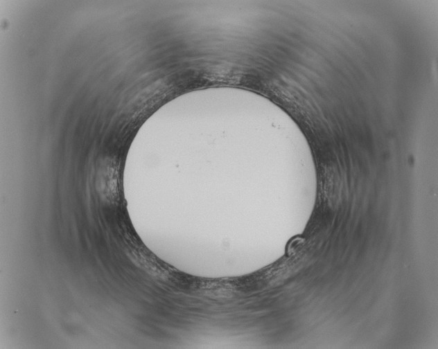 X0000089401154200707061221