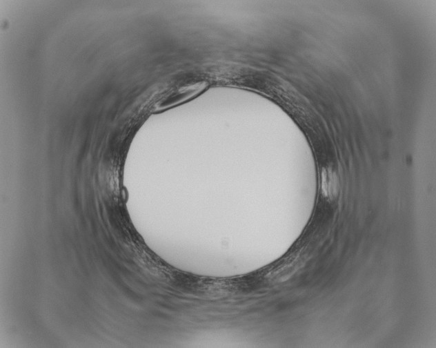 X0000089401155200707061221