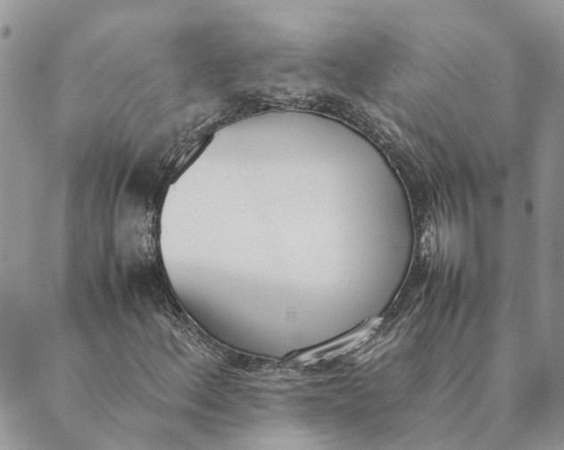 X0000089401156200707061221