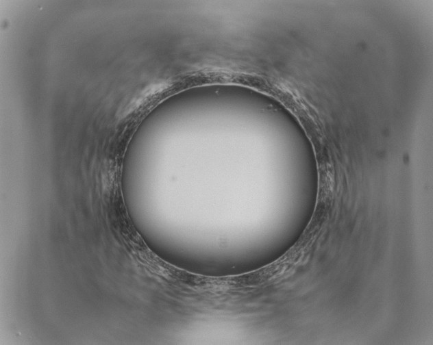 X0000089401157200707061221