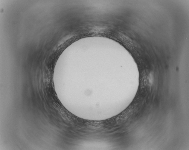 X0000089401158200707061221