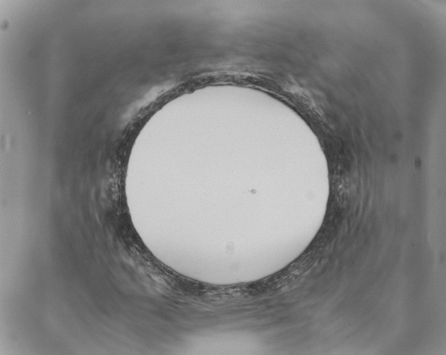 X0000089401159200707061221