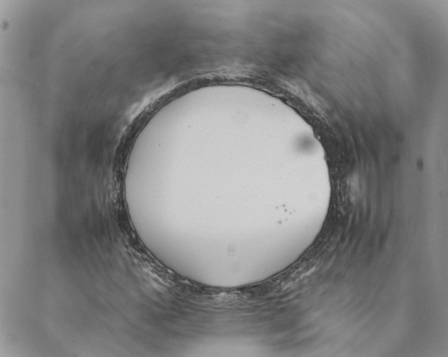 X0000089401160200707061221