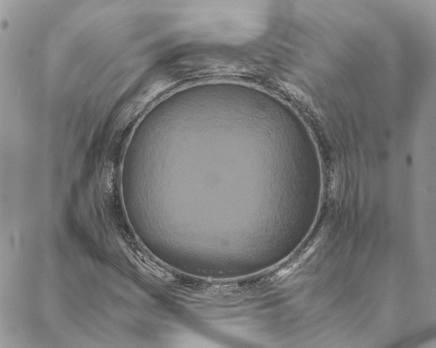 X0000089401161200707061221