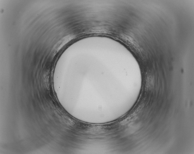 X0000089401162200707061221