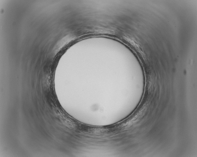 X0000089401163200707061221