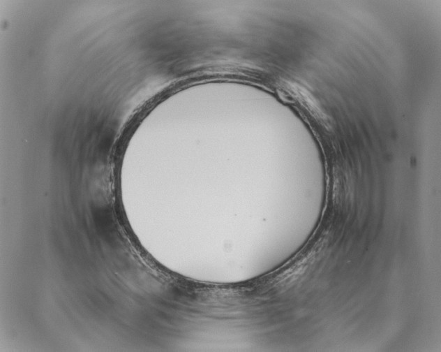 X0000089401164200707061221