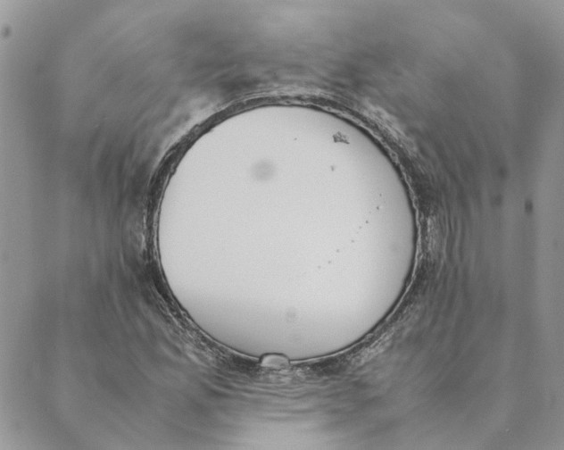 X0000089401165200707061221