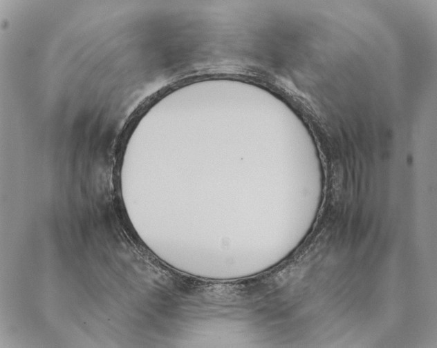 X0000089401166200707061221