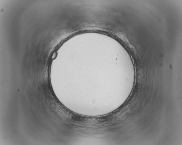 X0000089401167200707061221