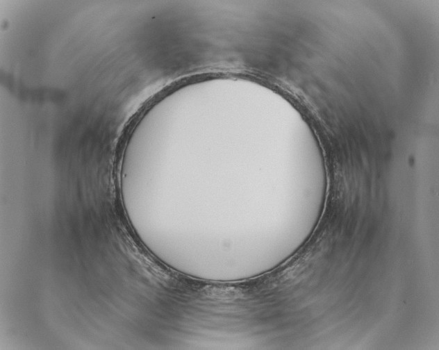 X0000089401168200707061221