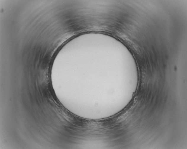 X0000089401170200707061221