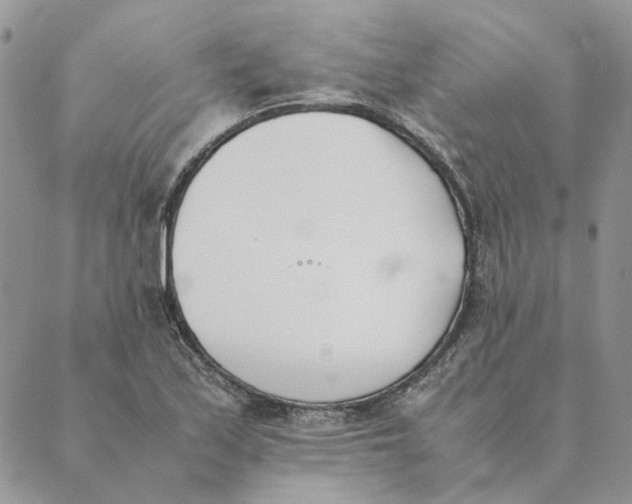 X0000089401171200707061221