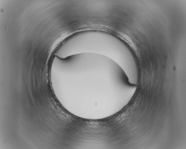 X0000089401172200707061221