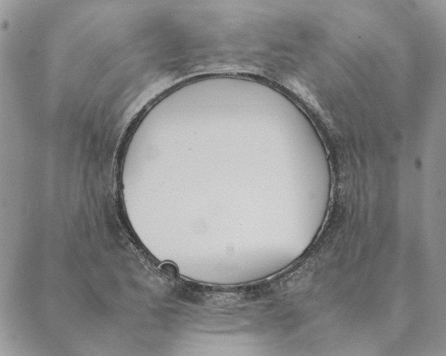 X0000089401173200707061221