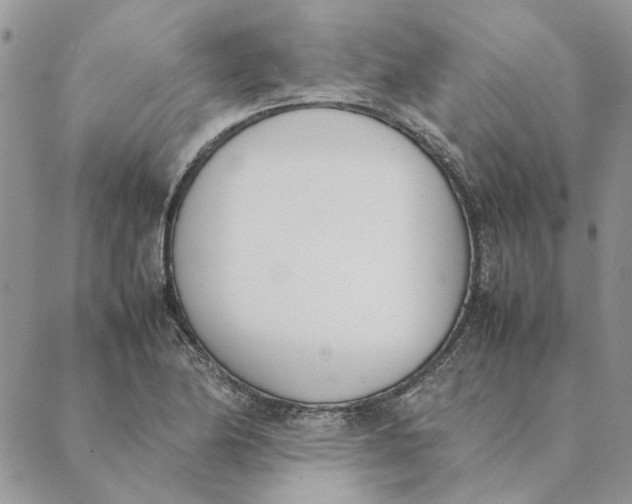 X0000089401174200707061221