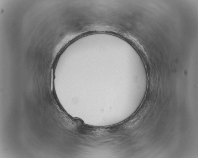 X0000089401175200707061221