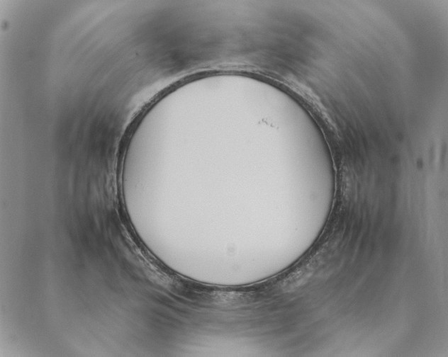 X0000089401176200707061221