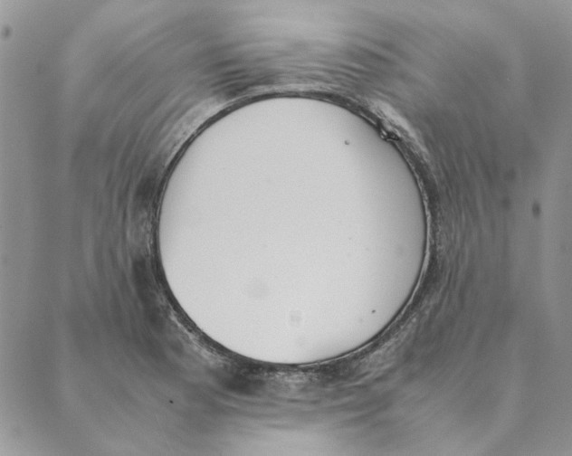 X0000089401177200707061221